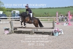 BPP_1166