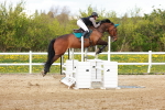 SBM_002621