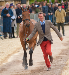 Mitsubishi 2015 Badminton Horse Trials portfolio