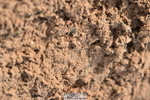231101A-114136-00110