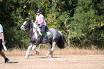 WJ6_8499
