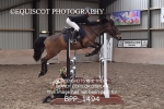 BPP_1494