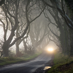 The Dark Hedges