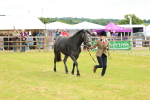 SBM_04074
