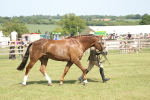 SBM_09246