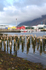 Siglu Harbour. Iceland