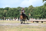 70cm XC (Time on course) portfolio