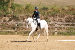 SBM_011123