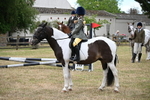 WJ6_3879