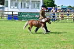 SBM_03596