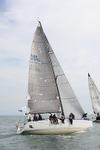 150816 FASTNET RACE GBR 2215L WT7A9744