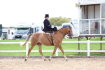 SBM_03388