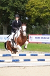 SBM_45428