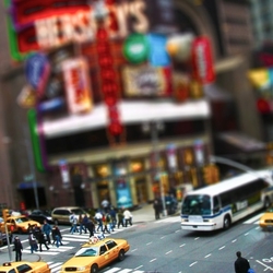New York portfolio