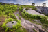 Millstone & Ferns