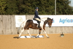 SBM_16384