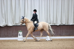 SBM_000337