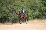 WJ6_8945
