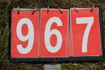 240825X-172309-37912