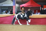 SBM_09625