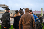 151125-Race 7-Divine Diva-4867