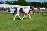 SBM_10031