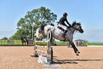 Cls 9 Foxhunter portfolio