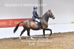BPP_0241