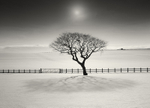 Gentle Shadow