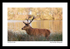 Tatton-2a