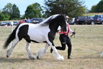 WJ7_8118