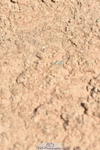230811A-130304-05044