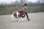 SBM_003923