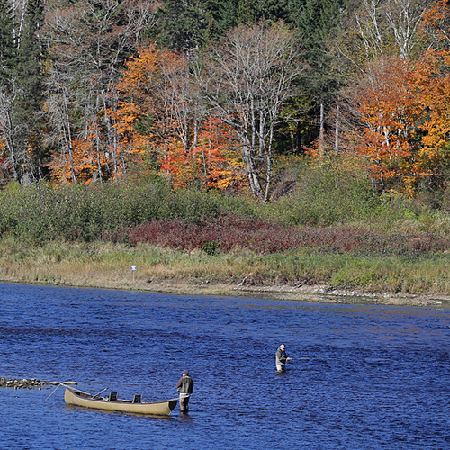 Fly Fishing on the Maramichi