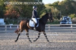 BPP_9764