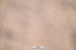 240706A-100915-00757