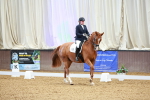 SBM_002909