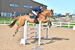 Cls 35 1.10m Amateur Qualifier portfolio