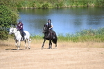 WJ6_8115