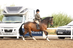 SBM_00250
