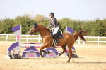 SBM_03834