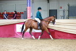 SBM_23735