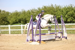 SBM_001219