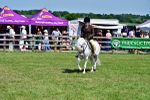 SBM_07795