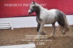 BPP_1284