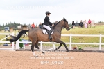 BPP_0498