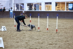 SBM_006001