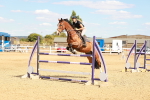 SBM_007490