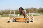 SBM_000587
