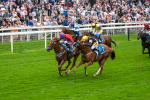 080925-Race 2-Alzahir-7422